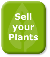 Sell Your Plants